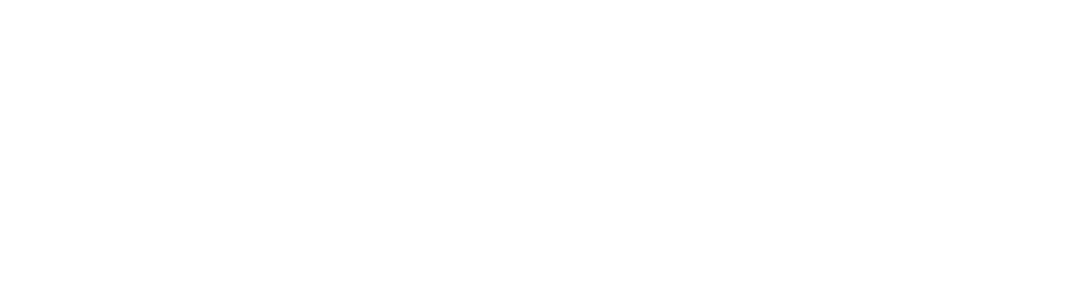 Safebiz Solutions