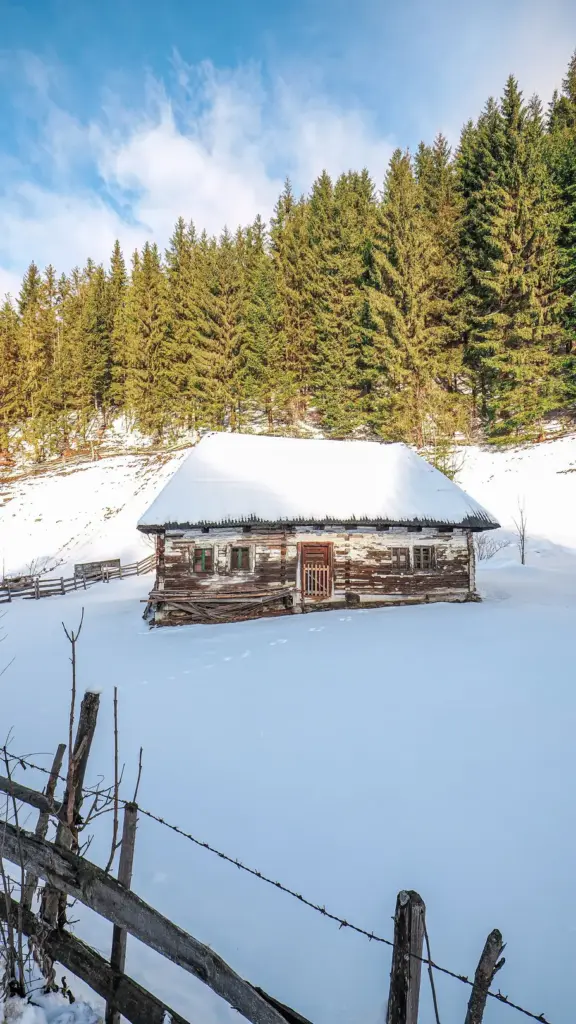Cabană din lemn cu acoperiș înzăpezit, într-o poiană la marginea pădurii